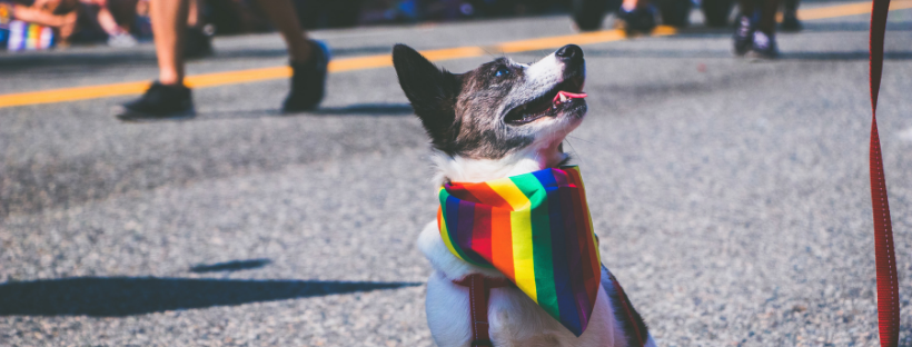 marcha LGBTI en Bogotá 2019 (1)